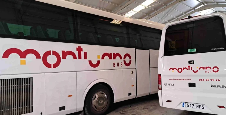 Autobuses rotulados con vinilo de corte blanco y rojo para empresa de transporte en Jaén, con imagen corporativa aplicada de forma precisa.